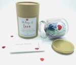 Love Gift Jar - 30 Days of Quotes Date Night Ideas - Reasons I Love You - Love Notes - Special Someone - For Him Her Anniversary Valentines